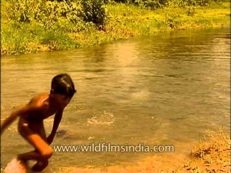 Village boys take a summer swim in a village pond...