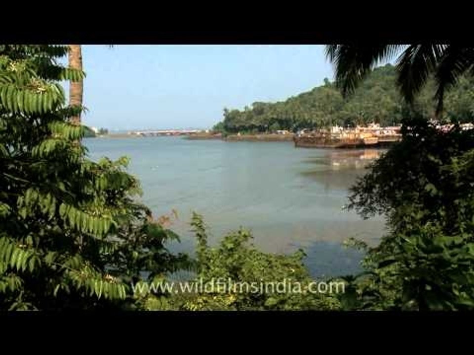 Cargo ships in Goa
