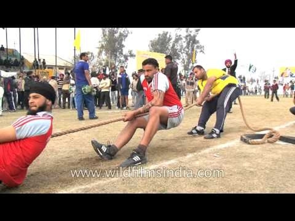 Tug of war between rural Punjabis in India!