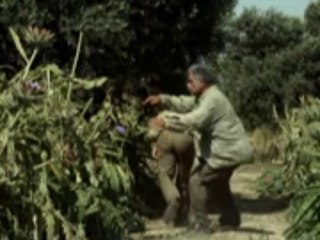 Gölgeler ve Suretler - Fragman