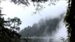 Clouds rolling in over deodar trees in Mussoorie