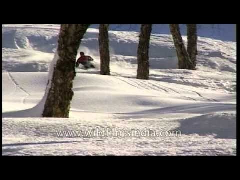Epic powder skiing in the Himalayas