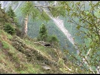 Rishi Ganga torrent rushing through Nanda Devi sanctuary