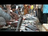 Roadside fish market near Sikanderpur metro station