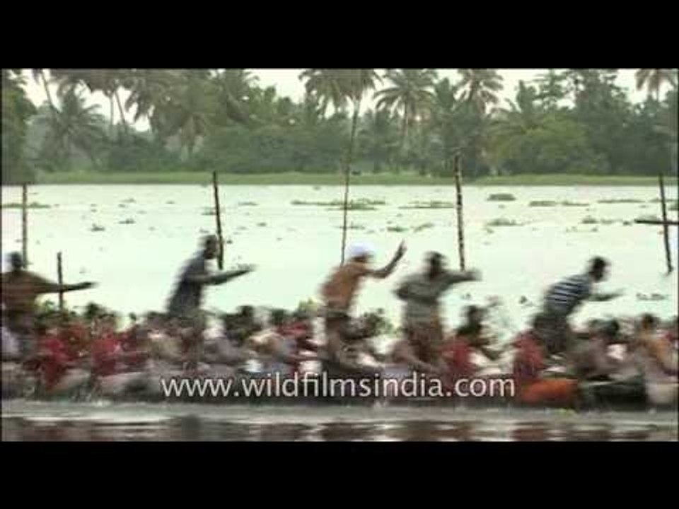 Rowing snake boats speedily in kerala