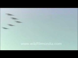 India's Air Force day display of fighters