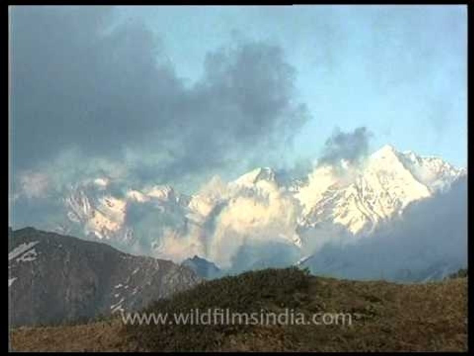 Life begins at ten thousand feet - Dodital trekker