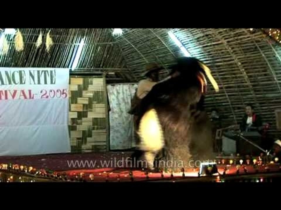 Animal dance wearing props at Siang River fest at Yingkiong