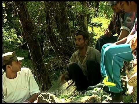 Small tea shop on the way to Dodital : hot beverage for trekkers in the cold