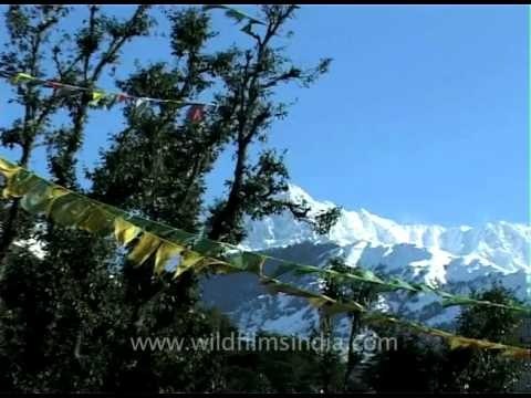 Himalayan vignettes from Dharamsala....