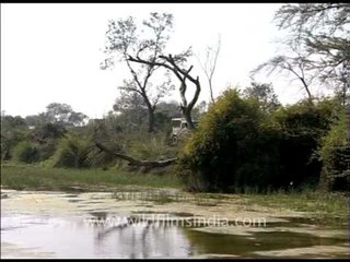 Wetlands of Awagarh in Uttar Pradesh!