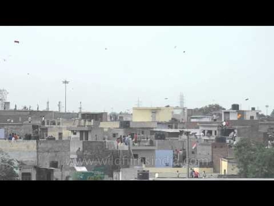 Kites and pigeons fill the sky above Jama Masjid on Independence day