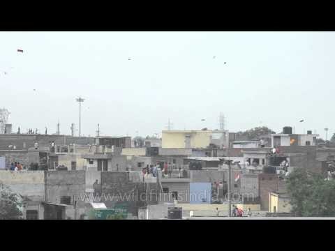 Kites and pigeons fill the sky above Jama Masjid on Independence day