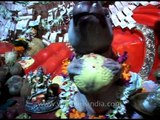 An idol of Lord Ganesha in a pandal during Ganesh Chaturthi