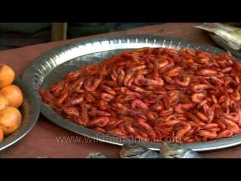 Fresh sea food attracts flies and buyers!