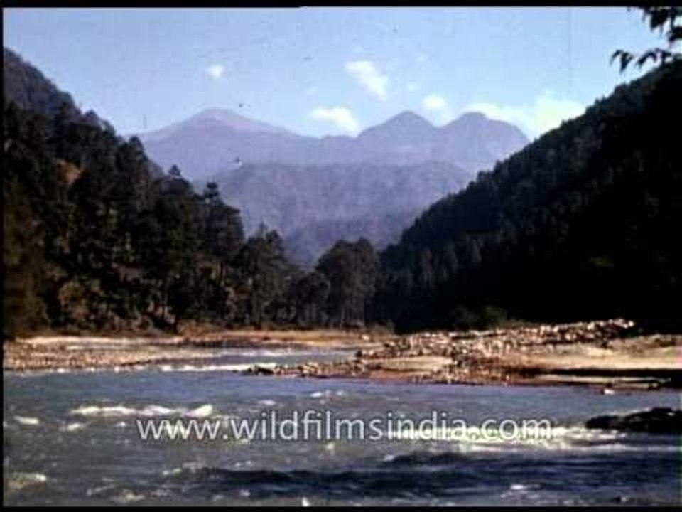 Wilderness vignettes from the 1920's era in India