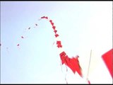 Dancing kites at the kite festival in New Delhi!