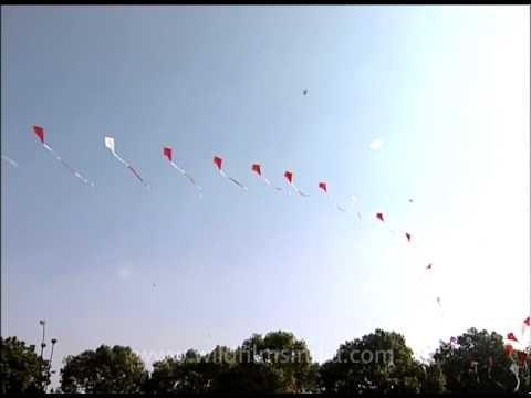 Colourful kites in the skies above India gate!