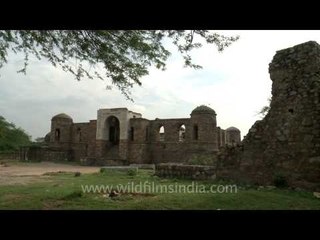 Sultan Ghari - funerary landscape of Delhi