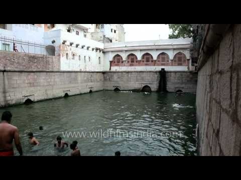 Olympians or Delhi local divers, Nizamuddin baoli