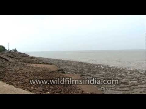 Garbage and filth on South-east Asian beaches