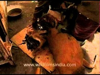 Barking deer chopped and butchered for sale in Nagaland