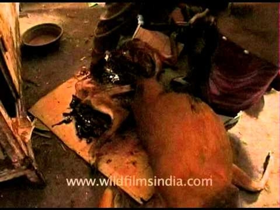 Barking deer chopped and butchered for sale in Nagaland