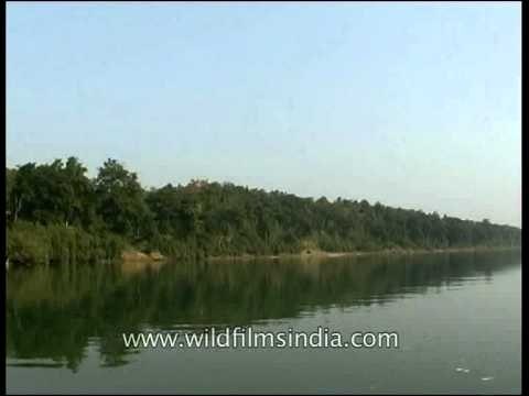 Ken river in Madhya Pradesh - The quiet river that occasionally erupts