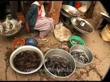 Live, crawling and writhing food market in Nagaland, India!