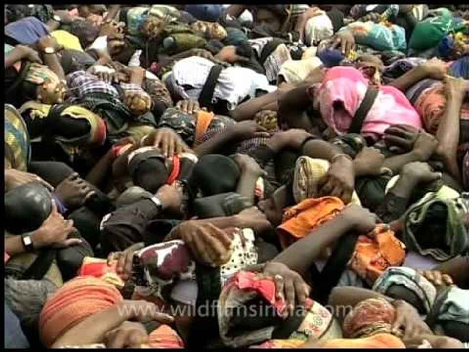 Countless Sabarimala devotees and the procession