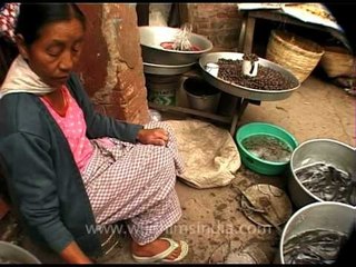 Live frogs and eels for meals?? Come to Nagaland!