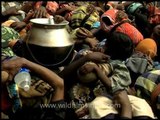 Not burden but offerings for Lord Ayappan, Sabarimala