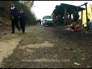 School kids pass by the butcher's work place