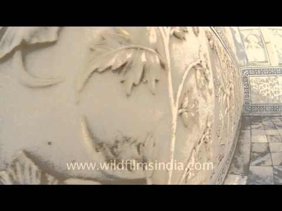 Fish eye view of the great Taj Mahal!