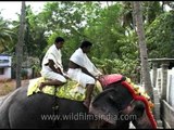 Elephant riders in white lungis at Kochi!