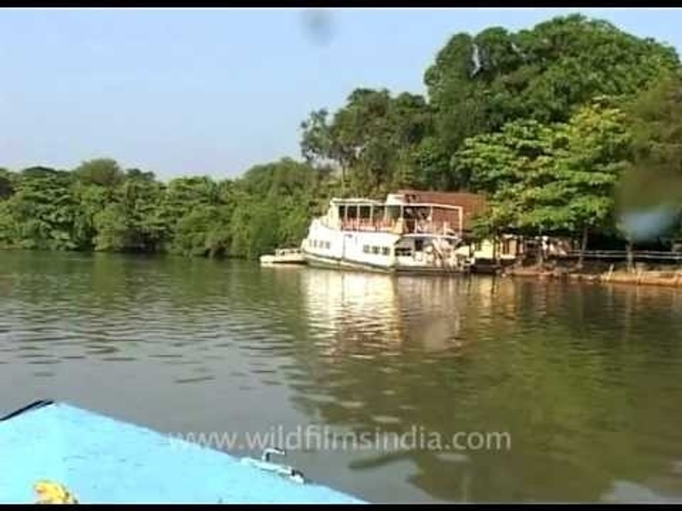 Houseboat rides - The best way to experience Kerala Backwaters!