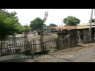 Speeding through Alang town...