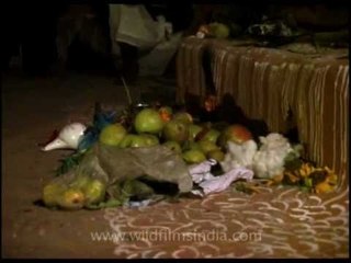 Hindu ritual bell ringing at Lakhat Temple!