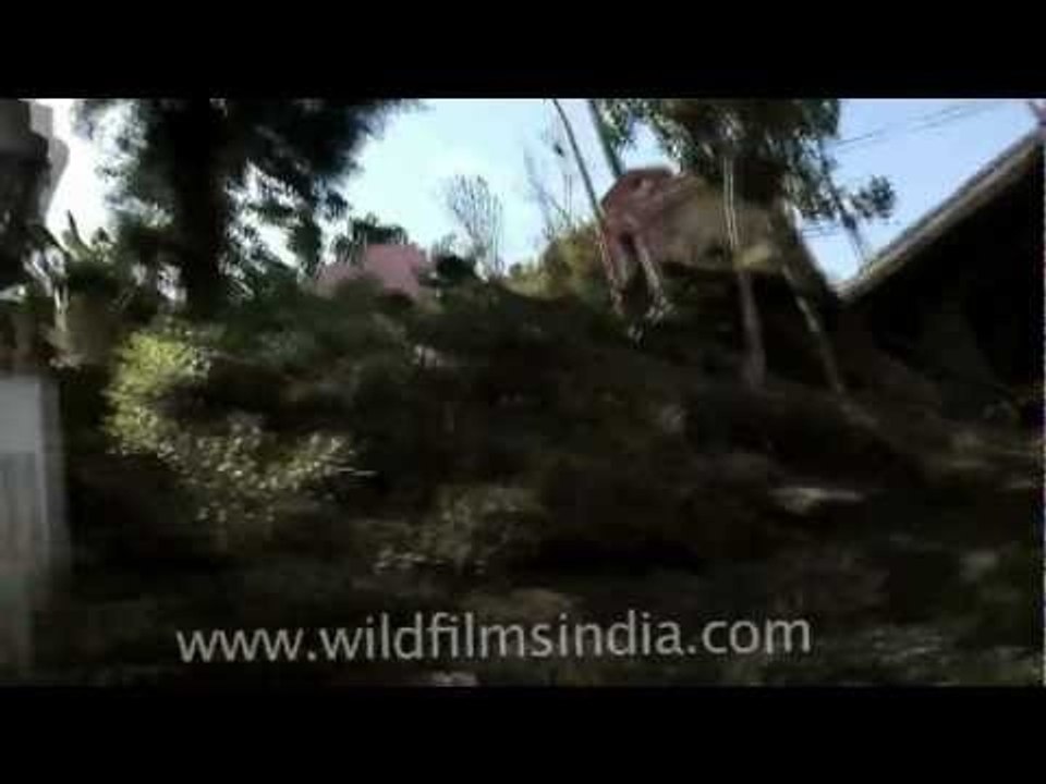 Driving through Mizoram