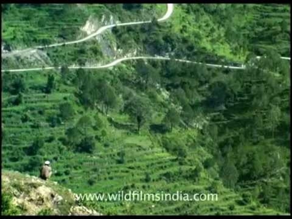 A village in upper Uttarakhand