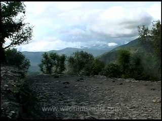 The green lanes of Lakhat