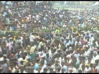 Run Ranga Run!!!! this angry Bull is chasing us..!!