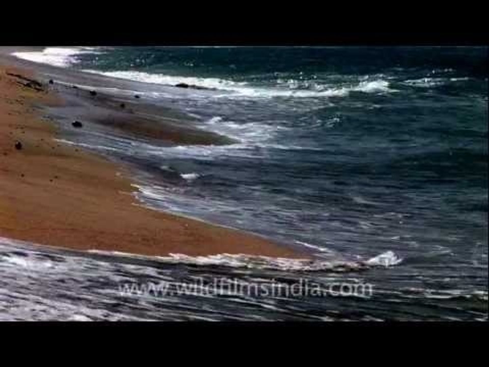 The ancient city of Dwarka
