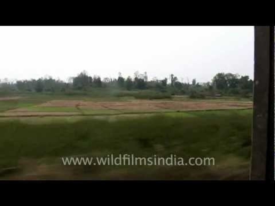 Indian Train gives a tracking shot