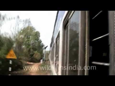 Wide angle shot from a moving train