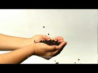 Black pepper trade in Indian hands
