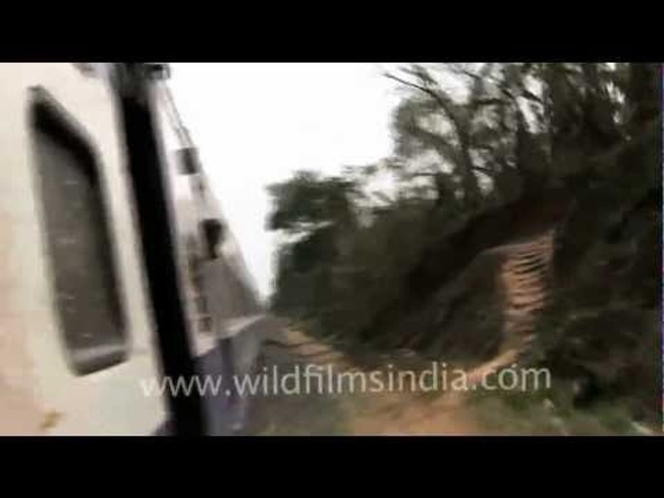 Train window view from Guwahati to Dimapur
