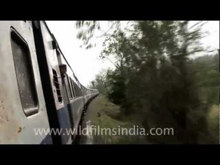 Experience Speed and Comfort with Shatabdi Express to Dimapur 🚄