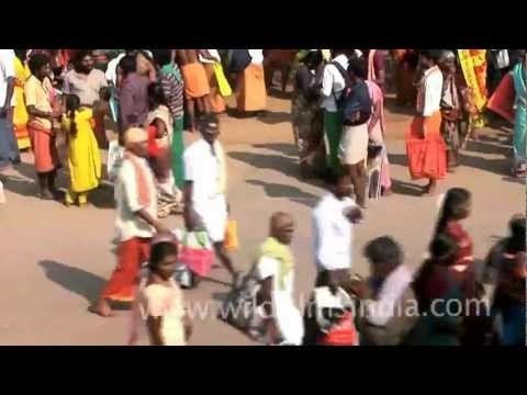 Believers show up for Thaipusam!