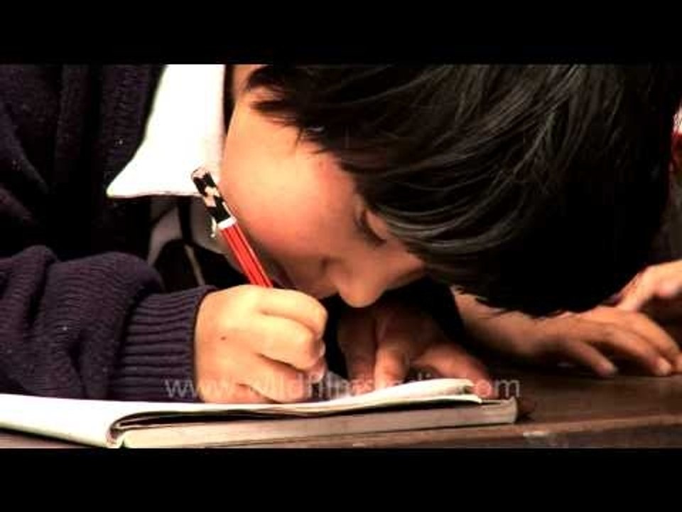 Teachers pets, Naga kids at school..